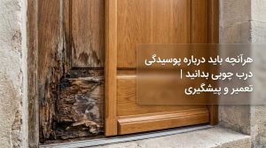 بلاگ 63 بلاگ هرآنچه باید درباره پوسیدگی درب چوبی بدانید | تعمیر و پیشگیری
