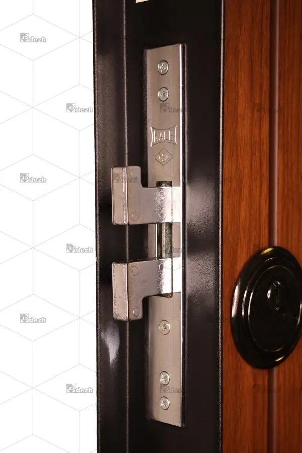 درب ضد سرقت لابی سری لوکس DZ-165 2 درب ضد سرقت لابی سری لوکس DZ-165 درب ضد سرقت لابی سری لوکس DZ-165