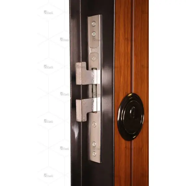 درب ضد سرقت مدرن تک لنگه مدل DZ-195