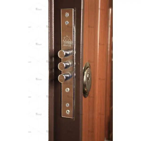 درب ضد سرقت سری اکونومی ، تک لنگه مدل DZ-31 3 درب ضد سرقت سری اکونومی ، تک لنگه مدل DZ-31 درب ضد سرقت سری اکونومی ، تک لنگه مدل DZ-31 - Image 3