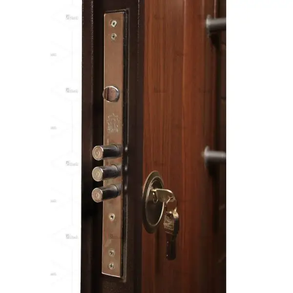 درب ضد سرقت سری اکونومی ، تک لنگه مدل DZ-31 4 درب ضد سرقت سری اکونومی ، تک لنگه مدل DZ-31 درب ضد سرقت سری اکونومی ، تک لنگه مدل DZ-31 - Image 4