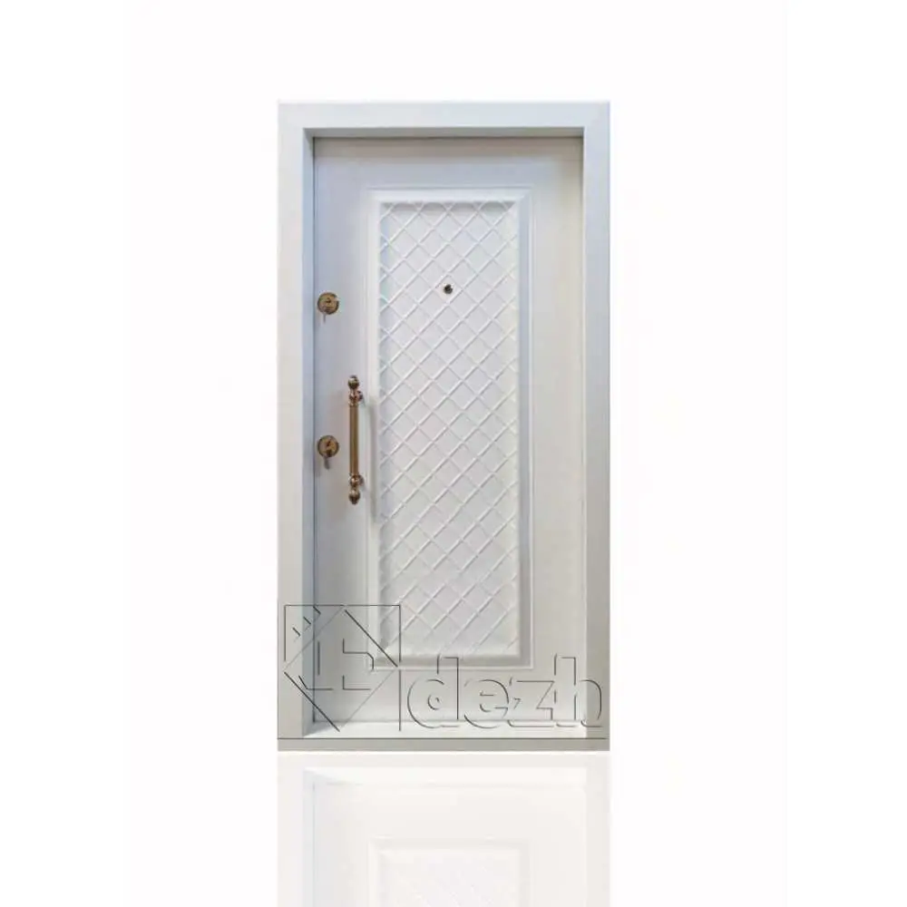 درب ضد سرقت تک لنگه سری لوکس مدل DZ-51