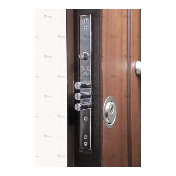 درب ضد سرقت سری درجه یک ،تک لنگه مدل DZ-15 5 درب ضد سرقت سری درجه یک ،تک لنگه مدل DZ-15 درب ضد سرقت سری درجه یک ،تک لنگه مدل DZ-15