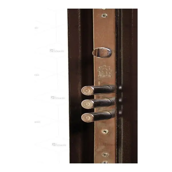 درب ضد سرقت سری اکونومی ، تک لنگه مدل DZ-169 3 درب ضد سرقت سری اکونومی ، تک لنگه مدل DZ-169 درب ضد سرقت سری اکونومی ، تک لنگه مدل DZ-169 - Image 3