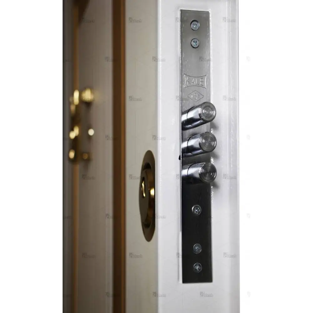 درب ضد سرقت سفید لوکس تک لنگه مدل DZ-53 10 درب ضد سرقت سفید لوکس تک لنگه مدل DZ-53 درب ضد سرقت سفید لوکس تک لنگه مدل DZ-53