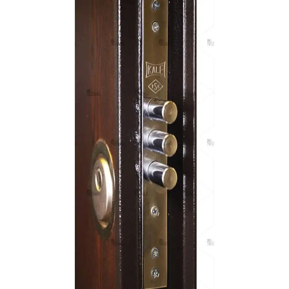 درب ضد سرقت تک لنگه سری لوکس مدل DZ-70 - Image 3