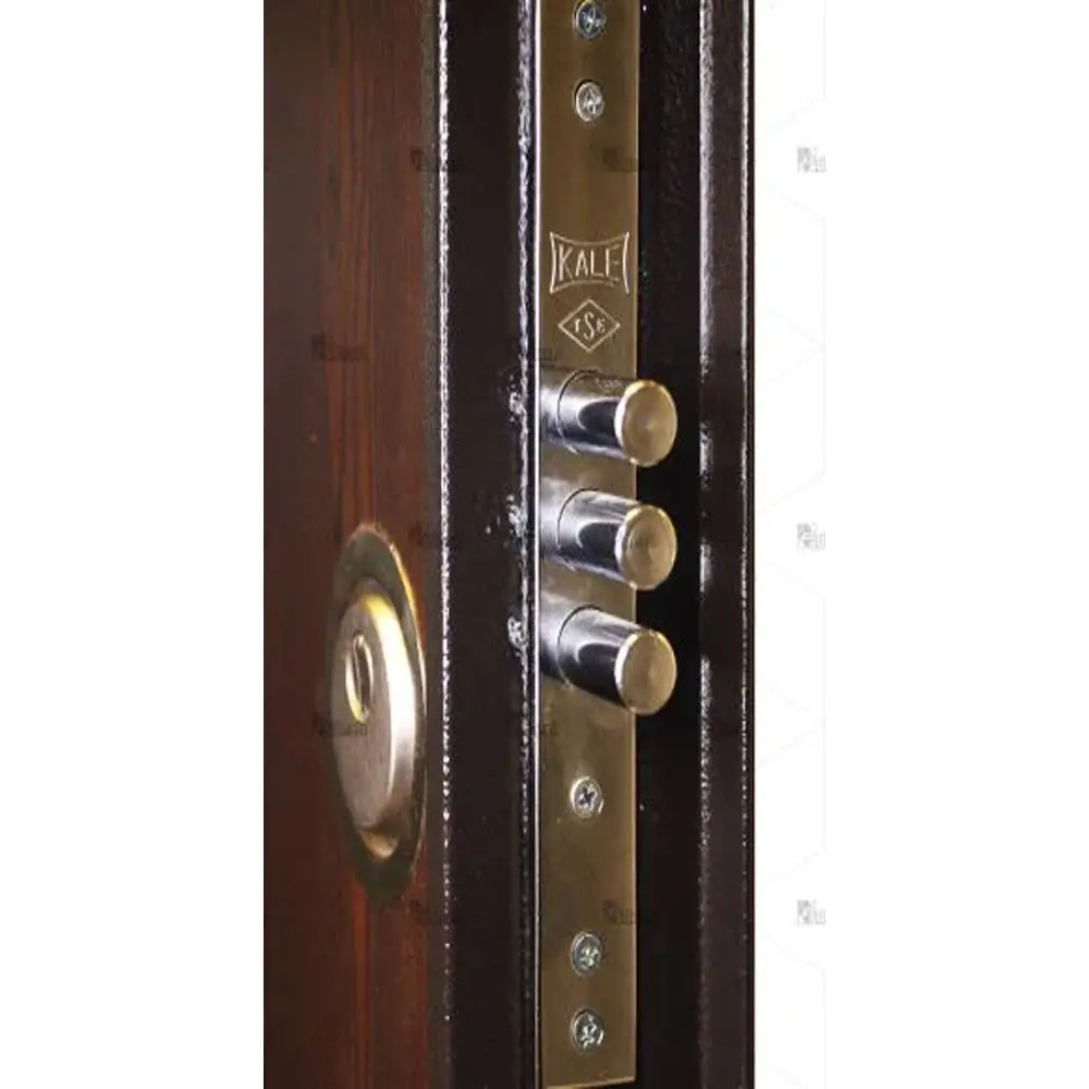 درب ضد سرقت تک لنگه سری لوکس مدل DZ-73 3 درب ضد سرقت تک لنگه سری لوکس مدل DZ-73 درب ضد سرقت تک لنگه سری لوکس مدل DZ-73