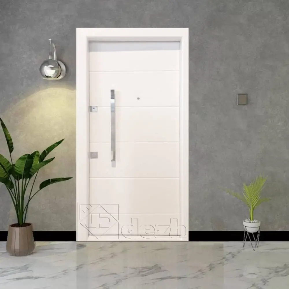 درب ضد سرقت یک رو فلز مدل DZ-254