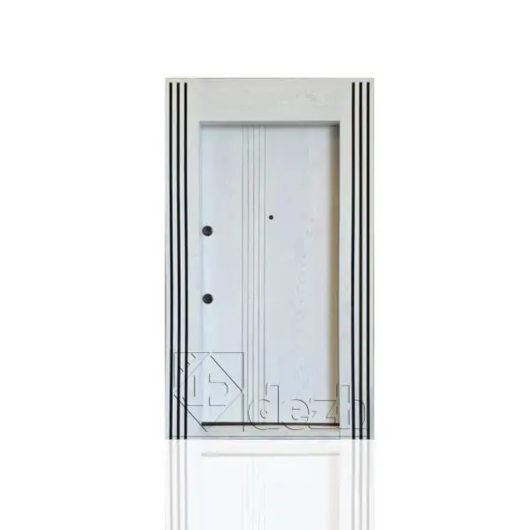 درب ضد سرقت تک لنگه سری لوکس مدل DZ-212