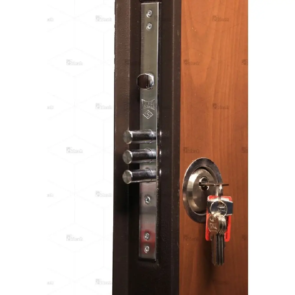 درب ضد سرقت سری درجه یک مدل DZ-3 - Image 4