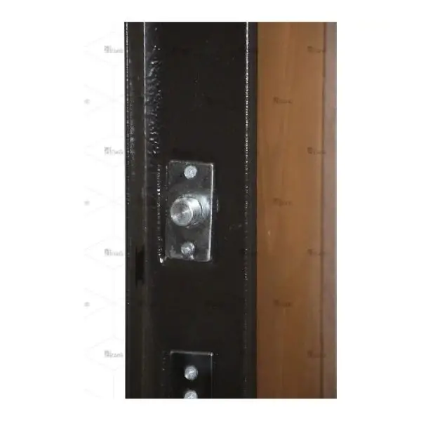 درب ضد سرقت لابی با تاج هلالی  DZ-1028 - Image 4