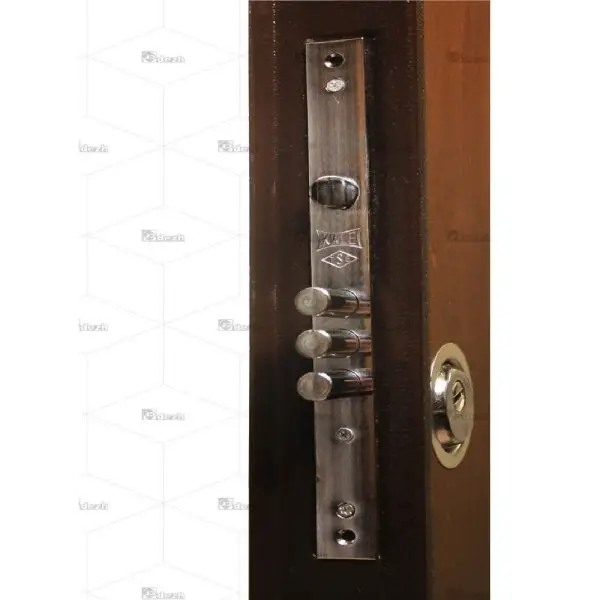 درب ضد سرقت با روکش طبیعی چوب راش DZ-71 - Image 3