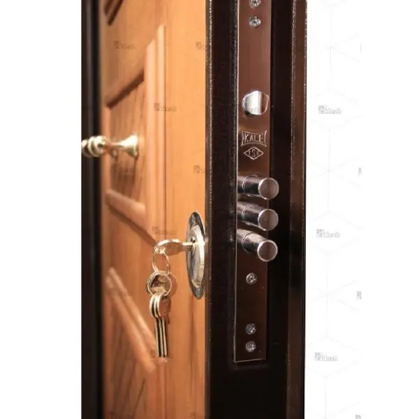 درب ضد سرقت تک لنگه سری درجه یک مدل DZ-79 4 درب ضد سرقت تک لنگه سری درجه یک مدل DZ-79 DZ-79