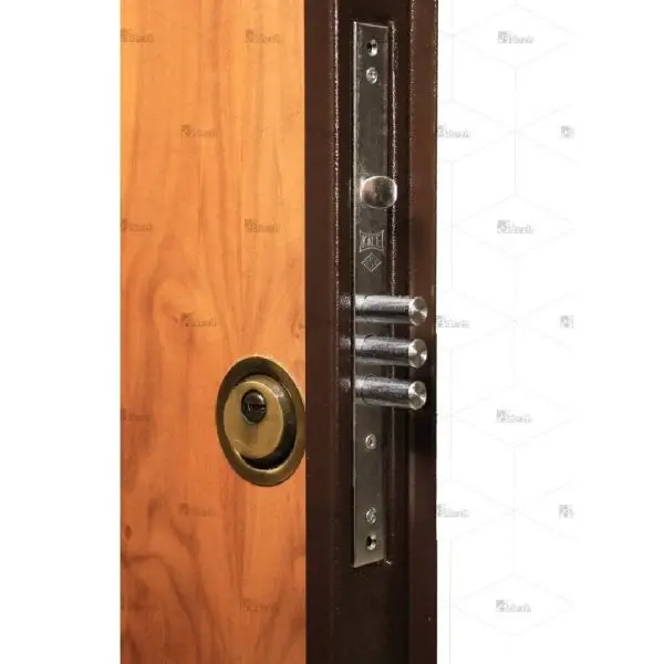 درب ضد سرقت سری درجه یک تک لنگه مدل DZ-201 - Image 7