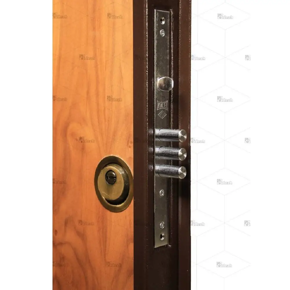 درب ضد سرقت سری درجه یک تک لنگه مدل DZ-201 - Image 7