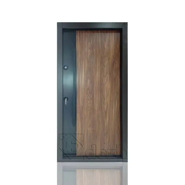 درب ضد سرقت سری اکونومی ، تک لنگه مدل DZ-67 2 درب ضد سرقت سری اکونومی ، تک لنگه مدل DZ-67 درب ضد سرقت سری اکونومی ، تک لنگه مدل DZ-67